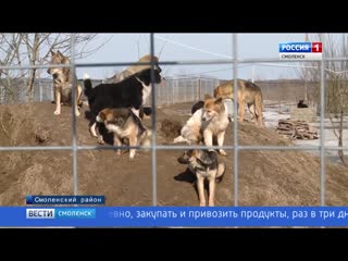 video распутица отрезала смоленский приют для молодые от большой земли sex