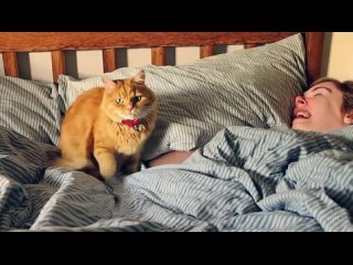 video open ai представила sora нейросеть для генерации качественных видео sex