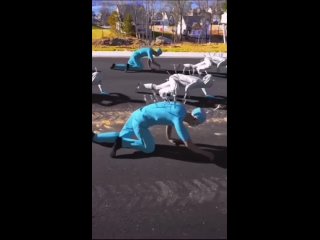 video следующая пандемия человеческой тупости и невежества sex