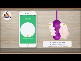 video как работать с тренажером кегеля gballs 2 app на русском языке sex