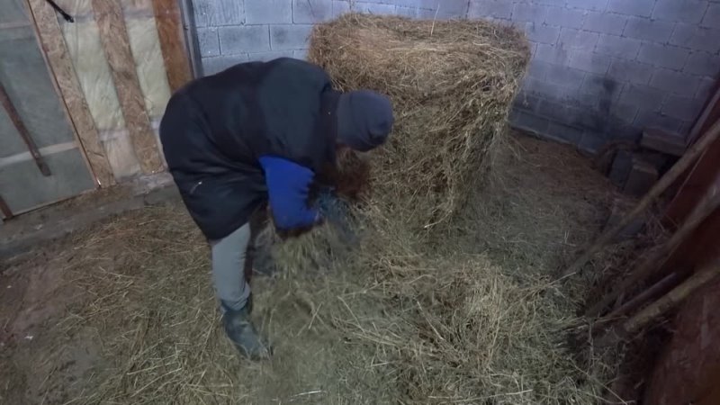 video приехал камаз еды и завалил весь двор сделал себе подарок жизнь в деревне молодая ферма sex