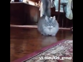 video максимальное но укороченное ускорение sex