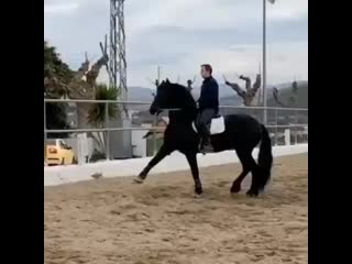 video friesian royal 20200123 075822 0 mp4 sex