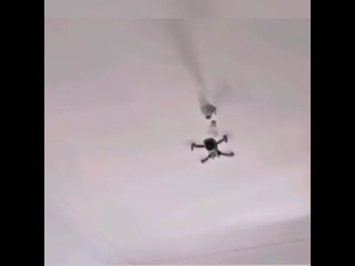 video жена все таки заставила поменять лампочки на кухне sex