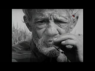 video документальная камера остановись мгновенье ты фотография и кино 2009 sex