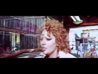 video семь шалей из желтого шелка 1972 джалло триллер детектив серджо пасторе 1080p sex