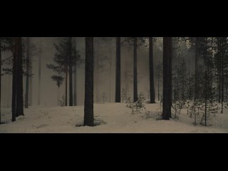 video выбор короля 2016 драма военный биография история эрик поппе sex