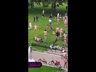 video в европе начались массовые обнаженные марафоны голые европейцы заполонили парки и устроили веломарафоны sex