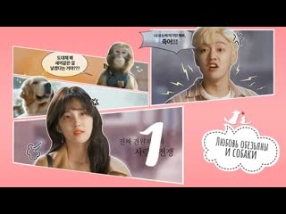 video mania 0110 720 любовь обезьяны и молодые monkey and dog romanc sex