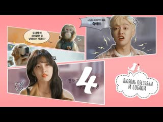 video mania 0410 720 любовь обезьяны и молодые monkey and dog romanc sex