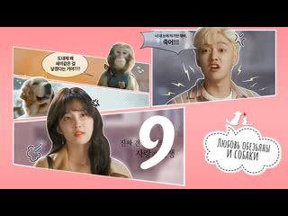 video mania 0910 720 любовь обезьяны и молодые monkey and dog romanc sex