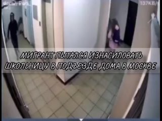 video мигрант пытался молодые школьницу в подъезде дома в москве sex