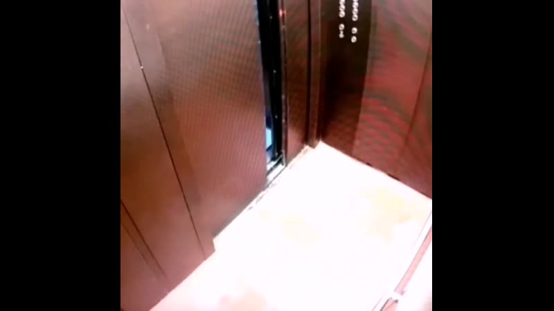 video тюменская молодежь справляет нужду прямо в подъезде sex
