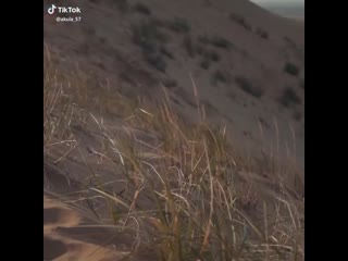 video ea7 akula 57 sex