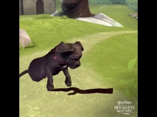 video theres nothing like playing fetch with fang to recharge before class 1 sex