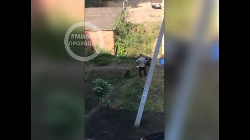 video пожилая женщина отшлепала мальчика крапивой воронеж sex