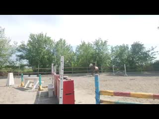 video house mov 0088 000 mp4 sex