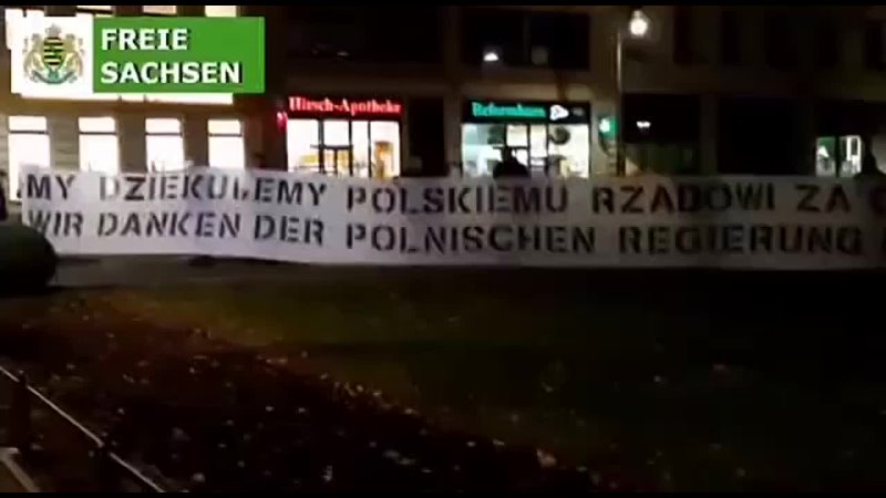 video немцы вышли на митинг с плакатами мы благодарим польское правительство за защиту немецких границ sex