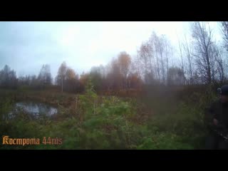 video доброго бодрого утра крайняя вылазка в лес без добычи но очень душевно и позитивно sex