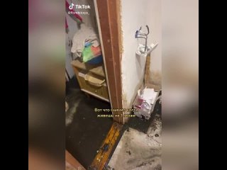 video вот что бывает когда живешь на первом этаже sex