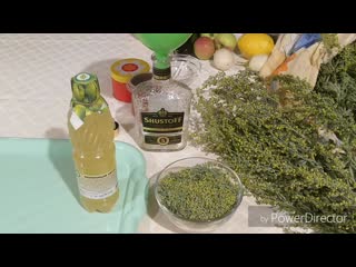 video галкин сад полынь великаялечение полынью убивает всю простейшую инфекцию в организмеи гонит паразитов sex