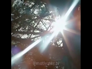 video те кто хотят добиться чего то найдут возможность сделать это именно для таких личностей лидеров наш проект 2fast sex