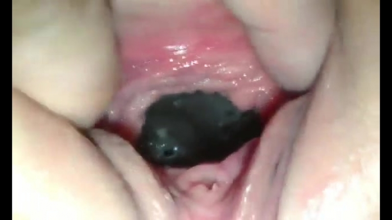 video моя великолепная дыроч порно xxx porno sex порно секс эротика девушки грудь женщины сучки шлюхи сиськи анал минет sex