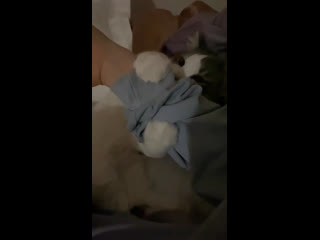 video keydra code kunst instastory 04112020 sex