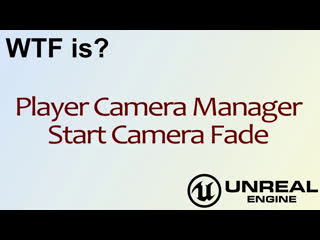 video game logic viewcamera start camera fade sex