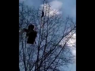 video спасение енота пошло не по плану sex