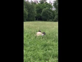 video storageemulated0picturestelegram sex