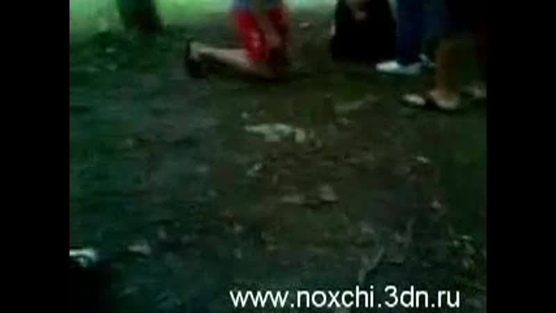 video чеченцы поставили хохлов на колени и заставили сказать хохлы говно sex