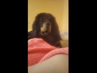 video leone storageemulated0dcimcameravid 20200130 145737 mp4 sex