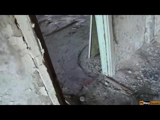 video на заброшке девушка сразу возбудилась и полезла в трусы sex
