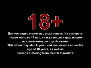 video маг целитель новый старт сезон 1 с 1 по 12 серию без цензуры sex