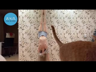 video девушка в стойке на руках засветила сиськи sex
