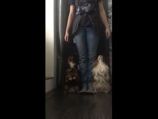 video видео от viva and annie cavalier king charles spaniel sex