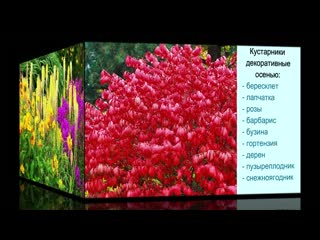 video 7 правил создания красивого цветника или клумбы подбор красивых цветов и растений для цветника sex