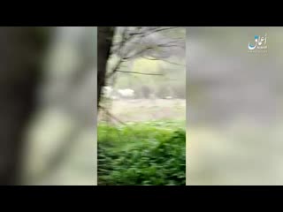 video опубликовано видео засады боевиков иг неподалеку от населенного пункта урус мартан в чечне которая была 22 апреля sex