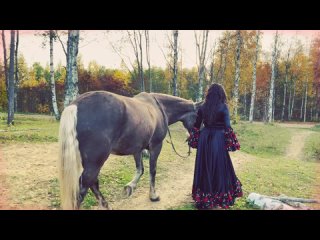 video цыганские танцы цыганские песни ехали цыгане певец сергей тарасов цыганский ансамбль заказать sex