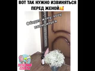 video как просить прощение у жены sex