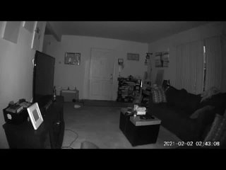 video мы с женой уже неделю пытаемся поймать эту мышь в ловушку но она нас не замечает а теперь издевается над нами sex