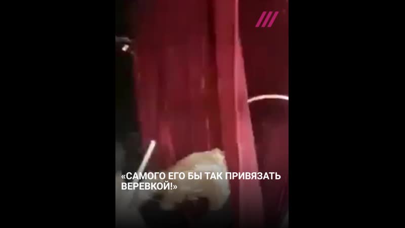 video рысь напала на дрессировщика во время шоу в цхинвали sex