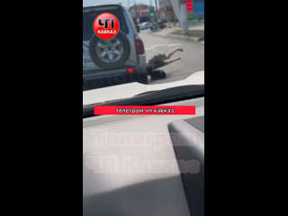 video видео от дагестанцы в москве каазцы чеченцы в москве sex