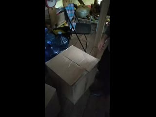 video видео от дмитрия арно sex