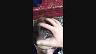 video брат заставил молодые сестру сосать и глотать свою сперму с открытым ртом на я sex