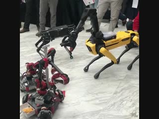 video hebi robotics rosie and bostondynamics spotmini horsing around sex