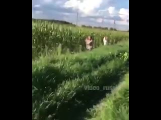video вписка копы копы сваливаем кукурузка нас засекли бросай их новых найдём полиция шухер sex