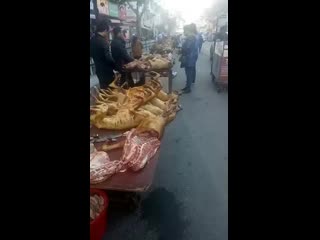 video шок видео 18 собачий рынок в корее sex