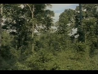 video ад каннибалов 2 съеденные заживо eaten alive 1980 vhs перевод сергей визгунов sex